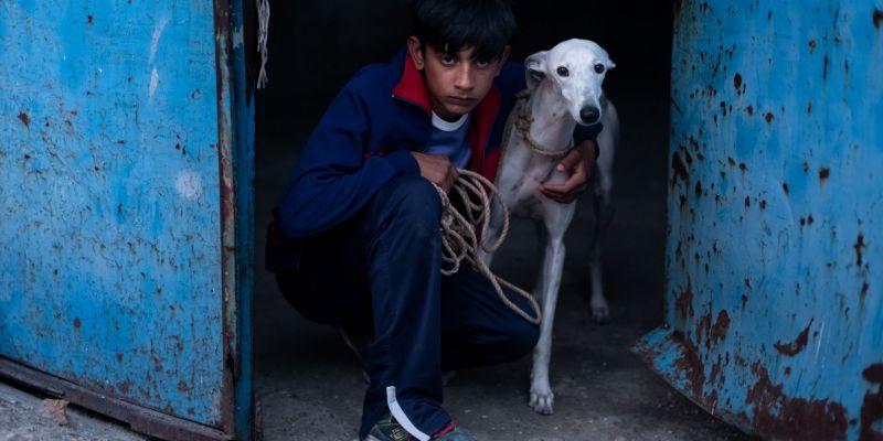 CIUDAD SIN SUEÑO con Guillermo Galoe